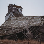 Photo captured by Zak H. @yycZAK in Sharples, Alta in early 2026.