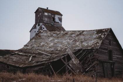 Photo captured by Zak H. @yycZAK in Sharples, Alta in early 2026.