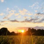 Open Alberta prairie field at sunset