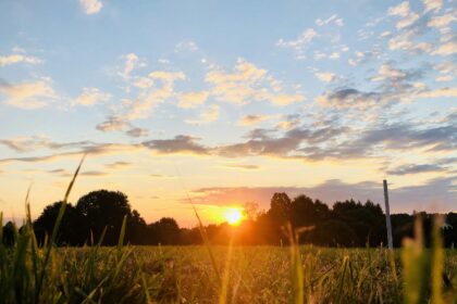 Open Alberta prairie field at sunset