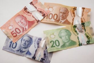 Canadian banknotes of several denominations fanned out on a surface