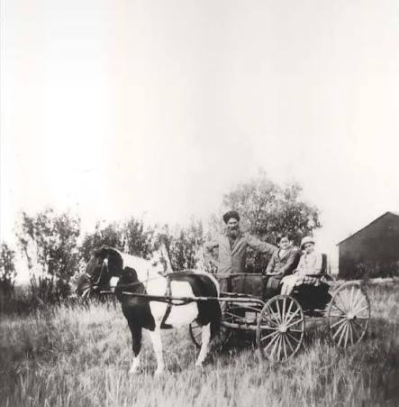 Harnam Singh Hari, Calgary livestock farmer and one of Alberta earliest Sikh settlers