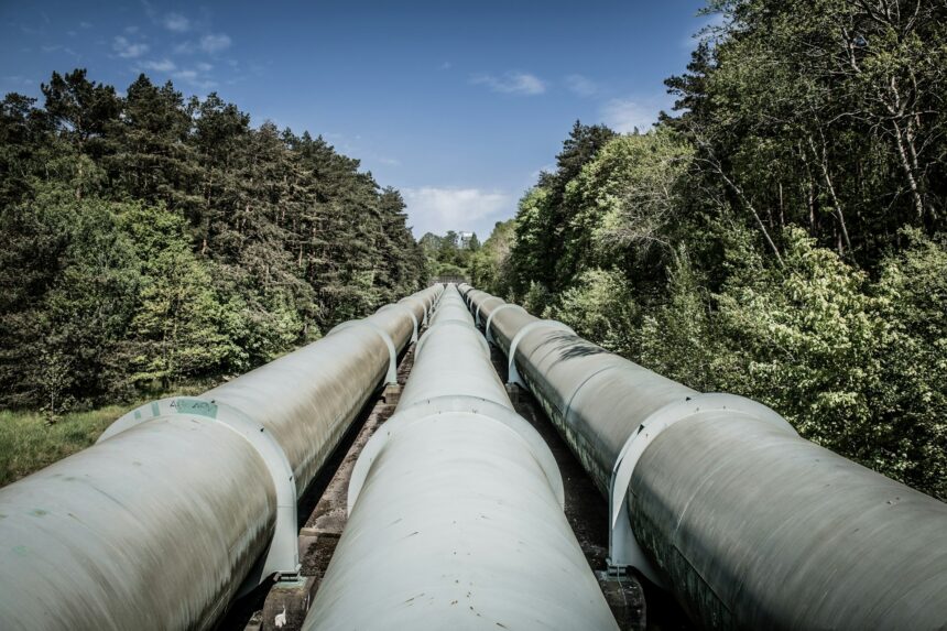 Aboveground natural gas pipeline running through a forest corridor