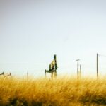 Oil pumpjack in a golden prairie field
