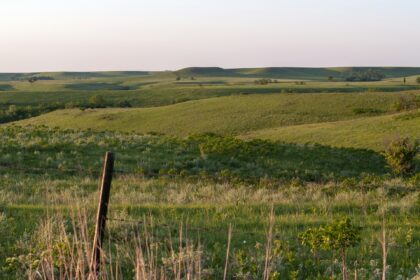 Weathered fence post in a grassy rural Alberta field at golden hour