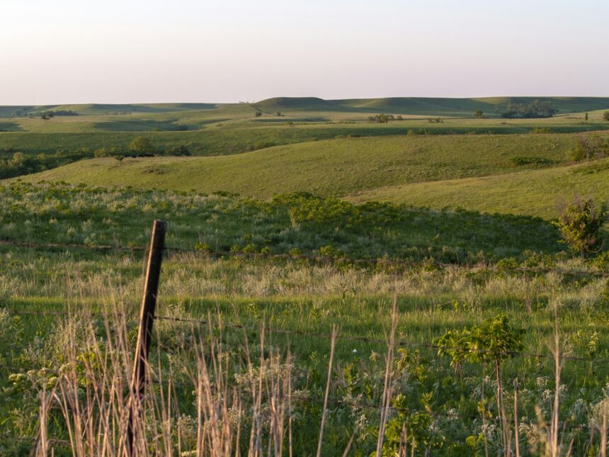 Weathered fence post in a grassy rural Alberta field at golden hour