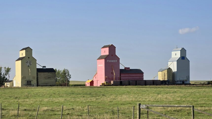 Colourful grain elevators against a prairie sky