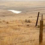 Waterlogged Alberta farm field
