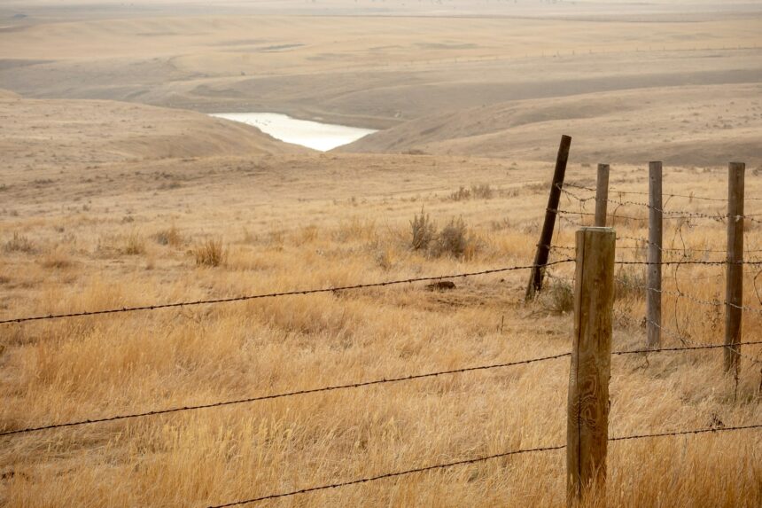Waterlogged Alberta farm field