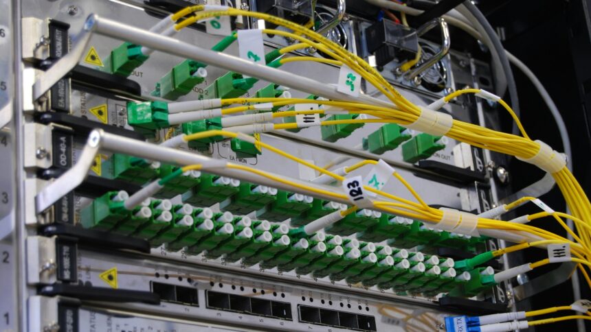 Fibre optic patch cables running into a network distribution panel