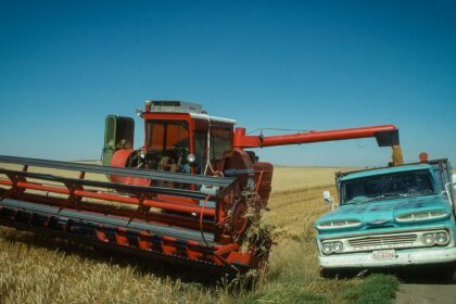 A combine and a grain truck in a harvested field near Milk River, Alberta