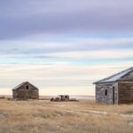 Old farm buildings standing in an open Alberta field
