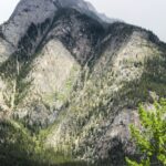 A steep, forested slope in the Canadian Rockies