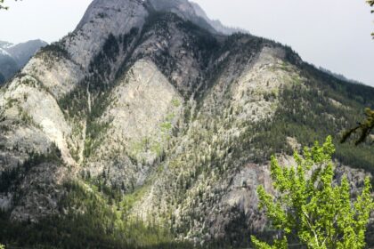 A steep, forested slope in the Canadian Rockies