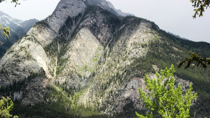 A steep, forested slope in the Canadian Rockies