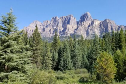 Castle Mountain rising above the forest in Banff National Park