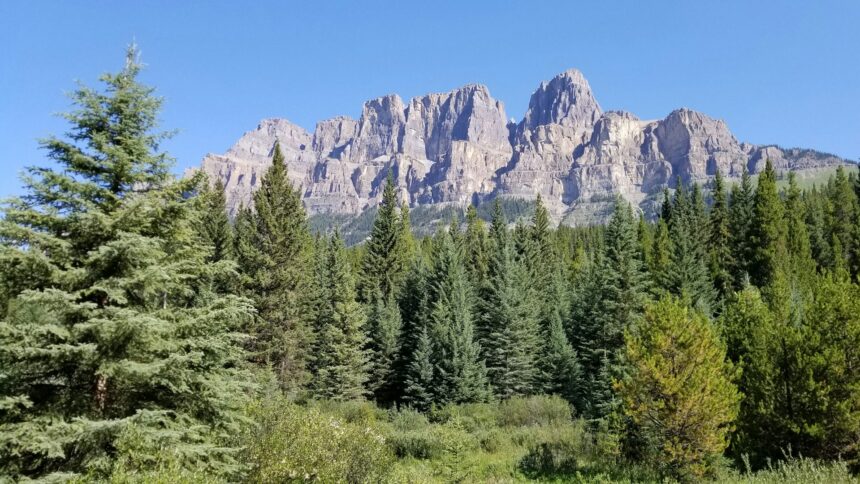 Castle Mountain rising above the forest in Banff National Park