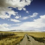 A road running straight through open prairie grain fields under a wide sky