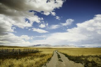 A road running straight through open prairie grain fields under a wide sky
