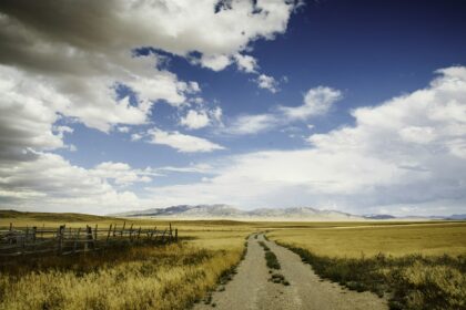 A road running straight through open prairie grain fields under a wide sky