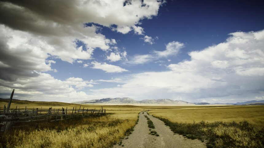 A road running straight through open prairie grain fields under a wide sky