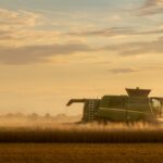 A combine harvester working a grain field in dusty evening light