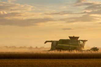 A combine harvester working a grain field in dusty evening light