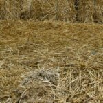 Square straw bales stacked in a field under low light