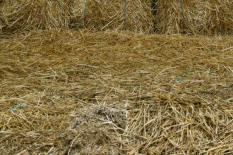 Square straw bales stacked in a field under low light