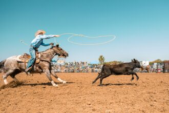 A rider on horseback swinging a lasso in a rodeo arena