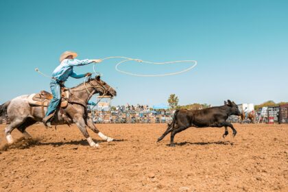 A rider on horseback swinging a lasso in a rodeo arena