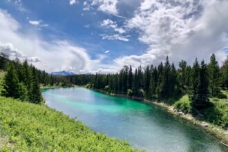 One of the green lakes in the Valley of the Five Lakes, Jasper National Park