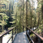 The catwalk bolted to the canyon wall above Johnston Creek at Johnston Canyon, Banff National Park