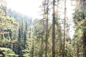 The catwalk bolted to the canyon wall above Johnston Creek at Johnston Canyon, Banff National Park