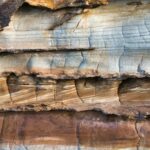 Layered sandstone rock face with a tree growing from it