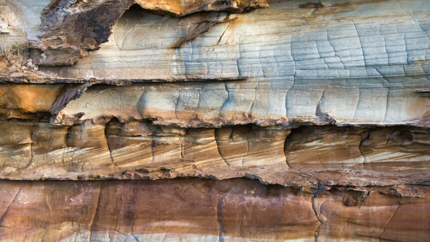 Layered sandstone rock face with a tree growing from it