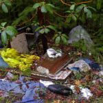 Clothing, boards and household rubbish dumped on the ground beneath evergreen branches