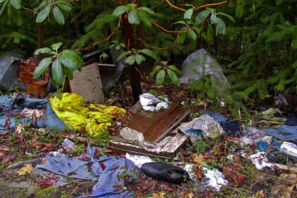 Clothing, boards and household rubbish dumped on the ground beneath evergreen branches