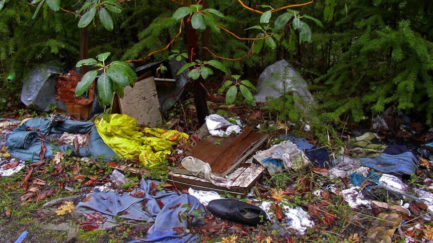 Clothing, boards and household rubbish dumped on the ground beneath evergreen branches