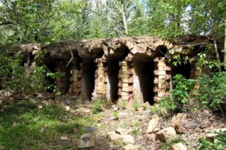 Brick arches of ruined coke ovens at Lille, with trees and loose rubble in front of them.