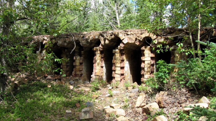 Brick arches of ruined coke ovens at Lille, with trees and loose rubble in front of them.