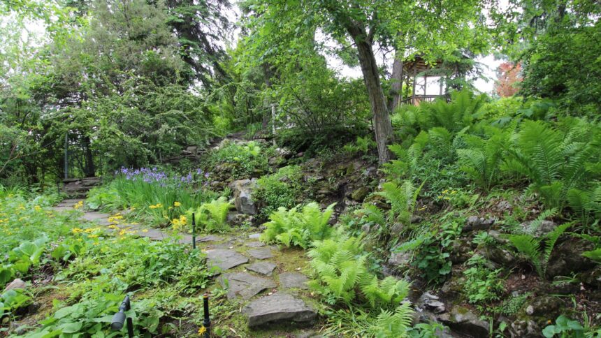 A stone-edged path winding up a hillside garden through ferns, flowering plants and trees