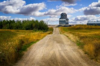 Weathered grain elevator at the end of a gravel road through prairie grass under a cloudy sky